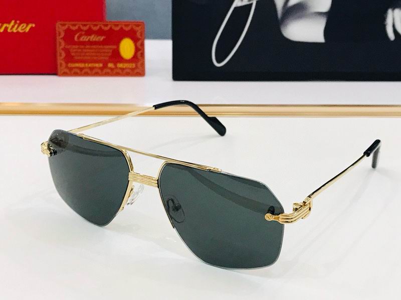 Cartier Glasses smx (31)